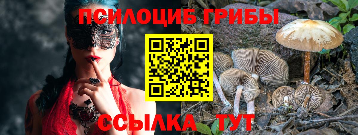 Галлюциногенные грибы MAGIC MUSHROOMS  Вход с VPN  Галлюциногенные грибы мухоморы  Радужный 